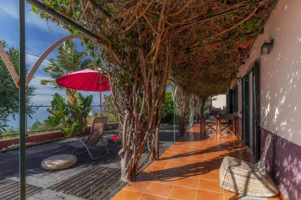 Cozy Villa Flora By Hr Madeira Estreito Da Calheta Eksteriør billede